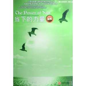 USED-The Power of Now (New Edition) (Chinese Edition) by Eckhart Tolle (Paperback)