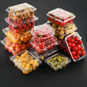 Hinged Lid Clear Plastic Clam Shell Food Containers, Square Disposable Takeaway Boxes for Cake Pastry Salad Dessert Sandwich Fruit