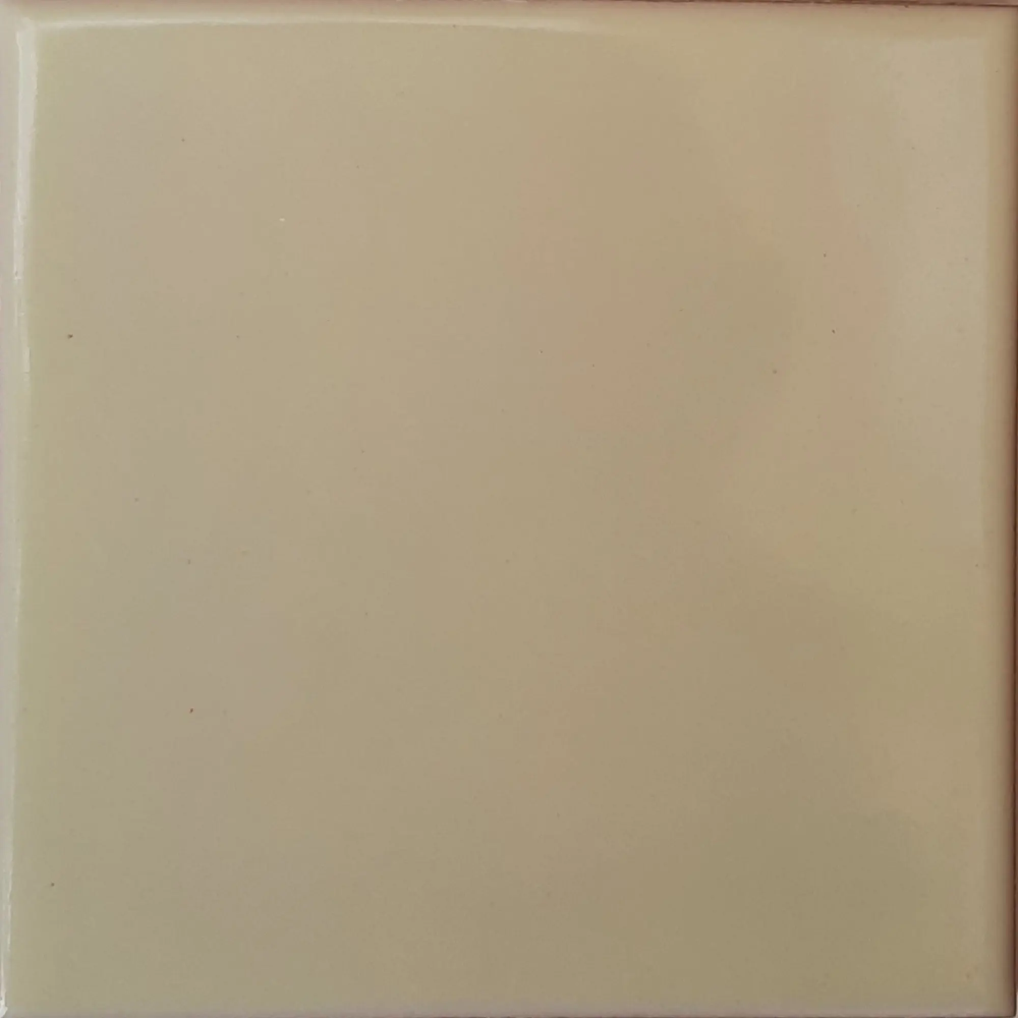 TalaMex Mexican White Talavera Tile