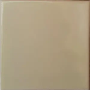 TalaMex Mexican White Talavera Tile