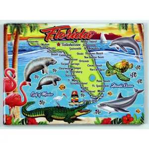 Florida Map New Pop Art Magnet 2.5" x 3.5"