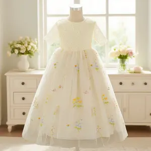 627 Kids Lace dress champagne elegant dress suitable for girls birthday gift piano dress travel outdoor photo photography