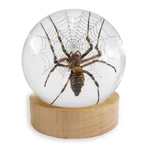 Real Spider in Globe With Stand - Unique Resin Sculpture, Entomology Collectible & Home Decor Ornament, Unique Gift Decoration desk decor ornament