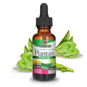 Nature's Answer Plantain Leaf with Organic Alcohol 2000mg 1oz Extract | Supports Skin Wellness | Gluten-Free, Non-GMO, Vegan, No Preservatives or Artificial Flavors | Single Count