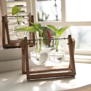 Creative Hydroponic Plant Transparent Wooden Stand Vase Desktop Fresh Style Container Living Room Modern Decoration Ornament Box Glass