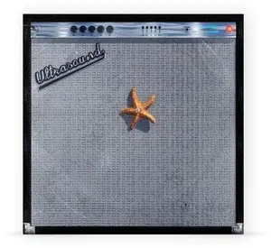 The Neighbourhood - (((((ultraSOUND))))) [Opaque Tangerine Vinyl] NEW Vinyl Record 093624825708