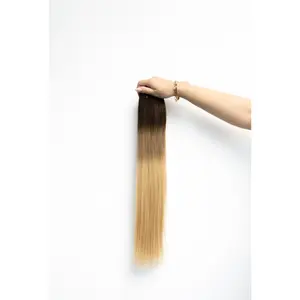 Tape-In Ombré #2/10/16 (Autumn Ombré)