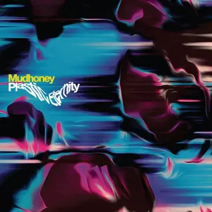 Plastic Eternity - Gray - Mudhoney - Record Album, Vinyl LP