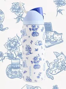 New Owala UO Exclusive Delft Cat FreeSip 0.9L / 32oz Water Bottle