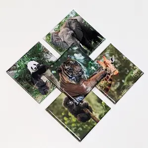 Zoo Crew Magnets | Photo Fridge Magnets | Animal Pet Zoo Tiger Panda Elephant Monkey Giraffe Home Decor