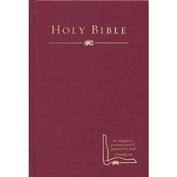 USED-HCSB Drill Bible, Burgundy Hardcover (Hardcover)