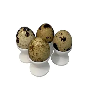 Luxury Kitchenware Mini Egg Cup Set For Quail Eggs Set Of 4 Holders Elegant White Design Utensils Serving Perfect Size Versatile Use Durable Construction Easy Maintenance
