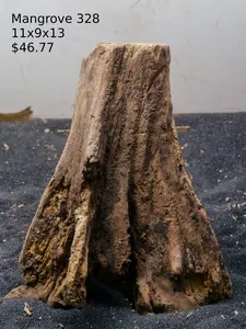Mangrove Tree Stump 328