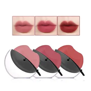3 Colors Matte Lipstick Set Lazy Lipstick Waterproof Long Lasting High Pigmented Lip Gloss Non-stick Cup Velvet Lip Stick Stain Lip Makeup for Women Girls（Set A） springtok
