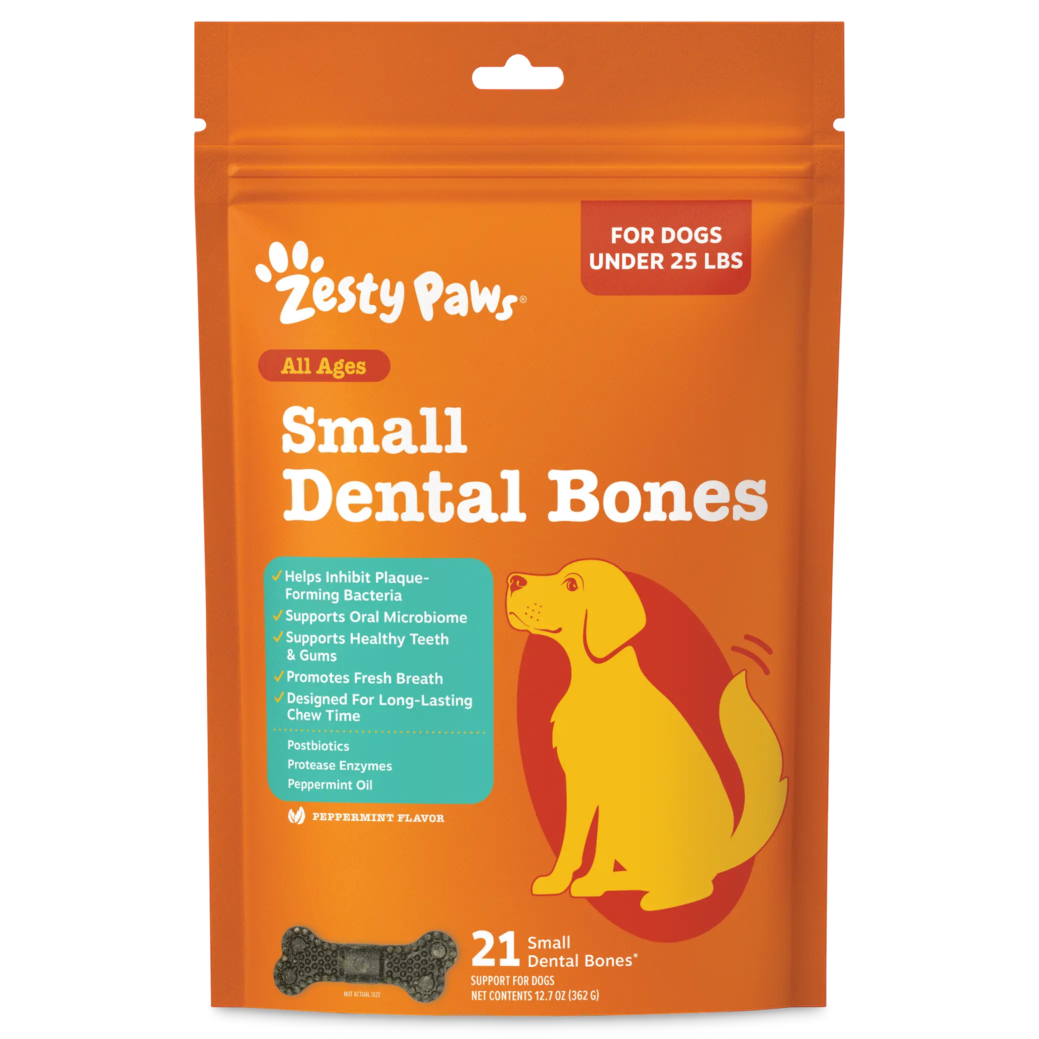 Small Dental Bones 2.0