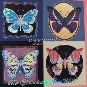 Palette Bundle of 5 Eyeshadow Makeup