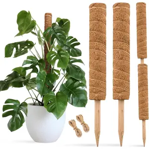30 Inch Moss Pole for Climbing  - 2 Pack 15 Inch Coir Totem Pole  Support with 65  Garden Twist Tie for Monstera and Potted  to Grow Upwards...