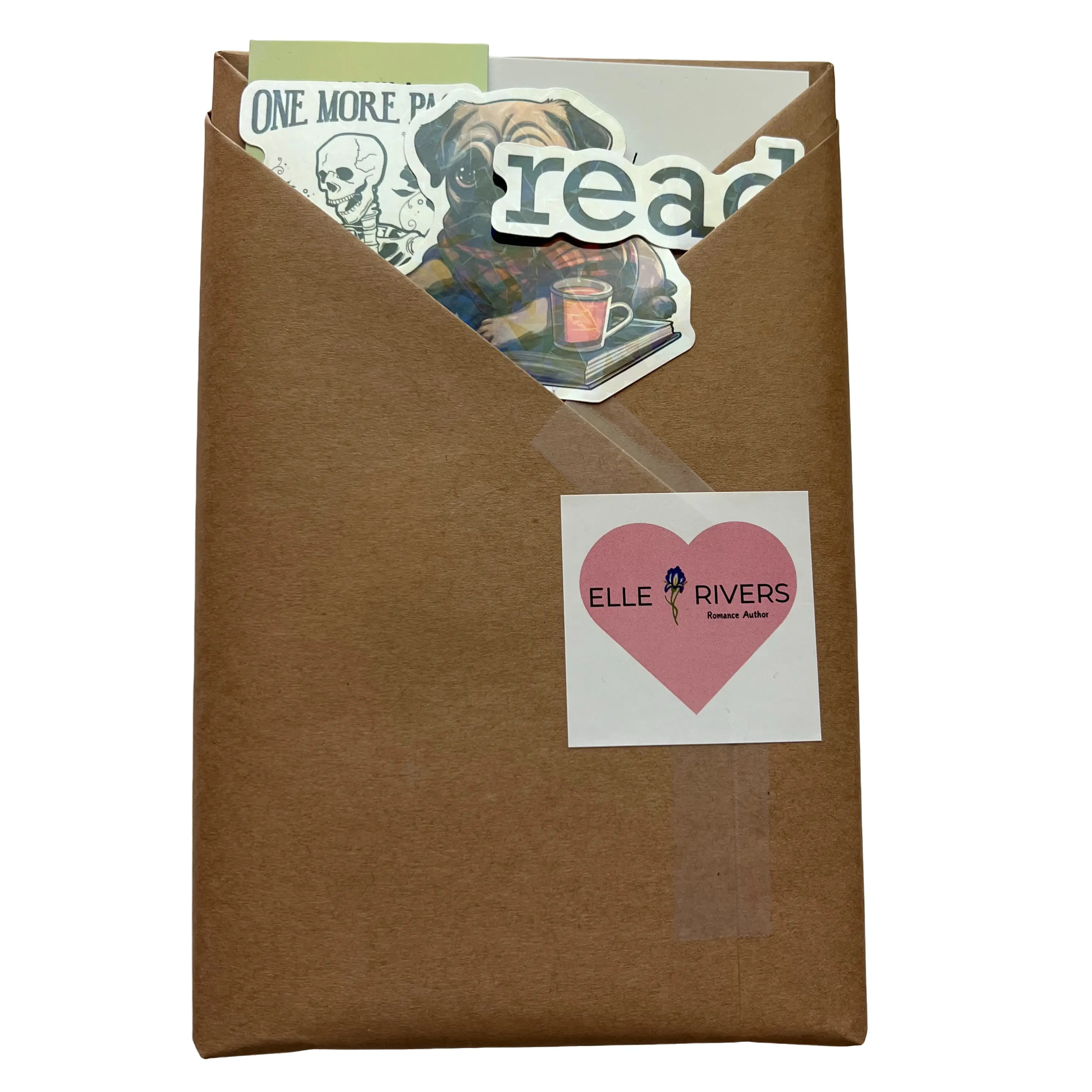 Elle Rivers Books Soft Cover Blind Date with a Book, Surprise Elle Rivers Romance Book with Stickers and Bookmark. Signed by Author