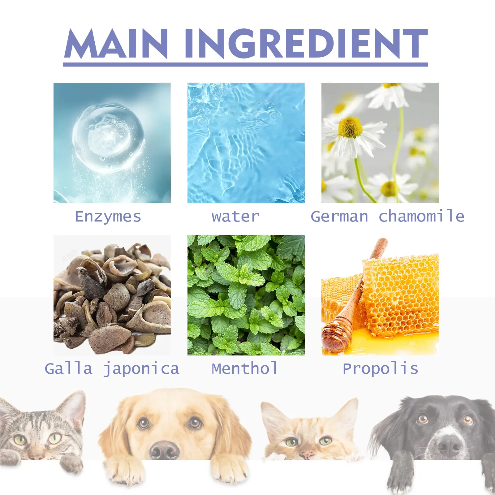 Pet Dogs & Cats Dental Care Spray, Vet-Recommended Breath Freshener & Teeth Cleaning Spray, Eliminate Bad Breath, Relieve Gum Redness & Infections, Reduce Plaque & Tartar, No Brushing