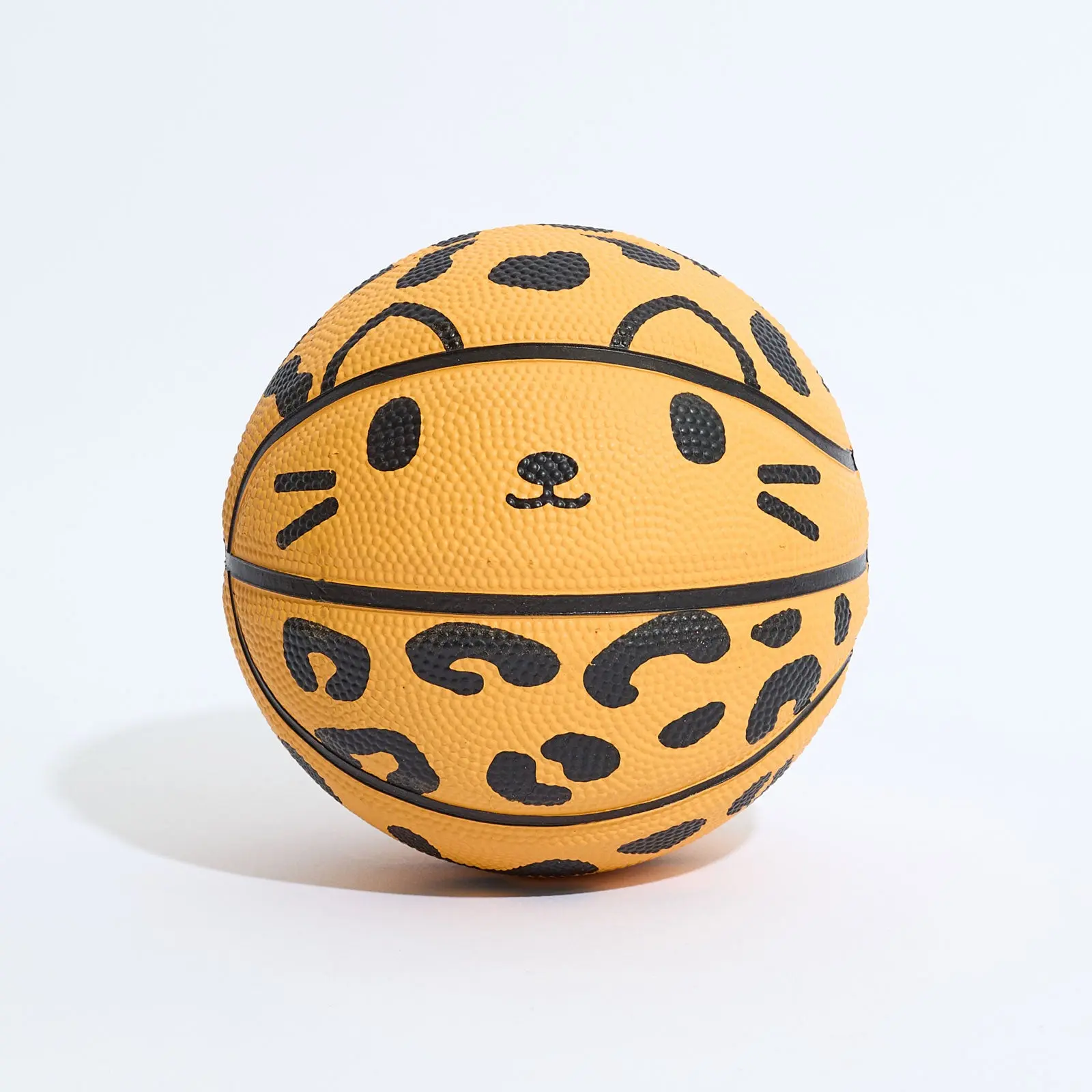 Chester Mini Basketball