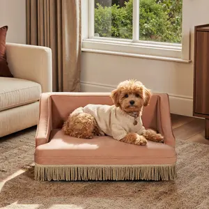  [Bellemave] Luxury Velvet Pet Sofa Bed with Fringe Skirt| Cute Princess Couch Bed for Indoor Small/Medium Dogs & Cats