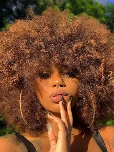 Black Friday Exclusive: Halloween & Christmas Afro Wig 70s Afro Wigs for Women 14 Inch Glueless Afro Kinky Curly Wigs Bouncy Huge Fluffy Synthetic Wig for Daily Party Use Synthetic Hair Wig