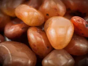 Carnelian Tumbled 1 lb