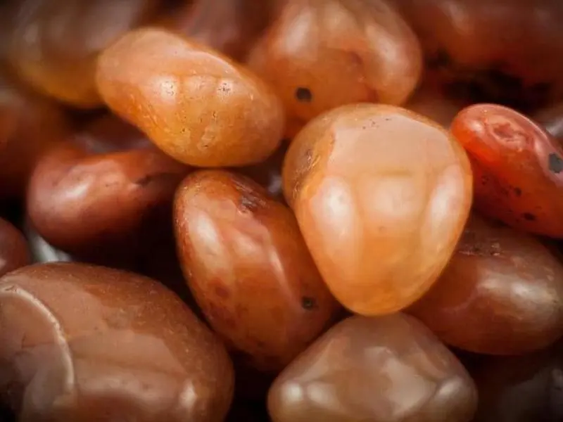 Carnelian Tumbled 1 lb
