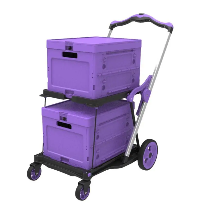 ALL PURPLE (TWO Baskets)