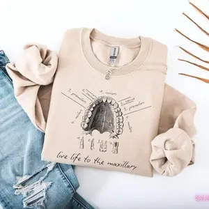 Dental Anatomy Sweatshirt, Cute Tooth Hygiene Crewneck, Funny Dental Hygienist Gift, Dental Assistant Graduation Top, Cozy Office Student Sweater