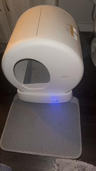 product review image from Kiersten Welch 5