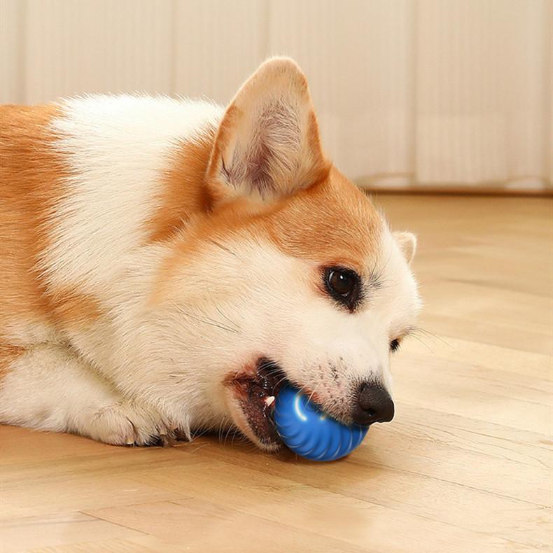 Pet Dog Rubber Ball Toys For Dogs Resistance To Bite Dog Chew Toys Puppy Pets Dogs Training Products