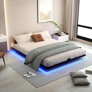Floating Bed Frame Queen Size with LED Lights Metal Platform Bed No B...