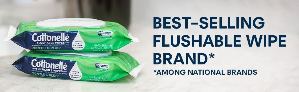 Cottonelle GentlePlus Flushable Wet Wipes with Aloe & Vitamin E, 4 Flip-Top Packs, 42 Wipes Per Pack (168 Total Wipes), Packaging May Vary