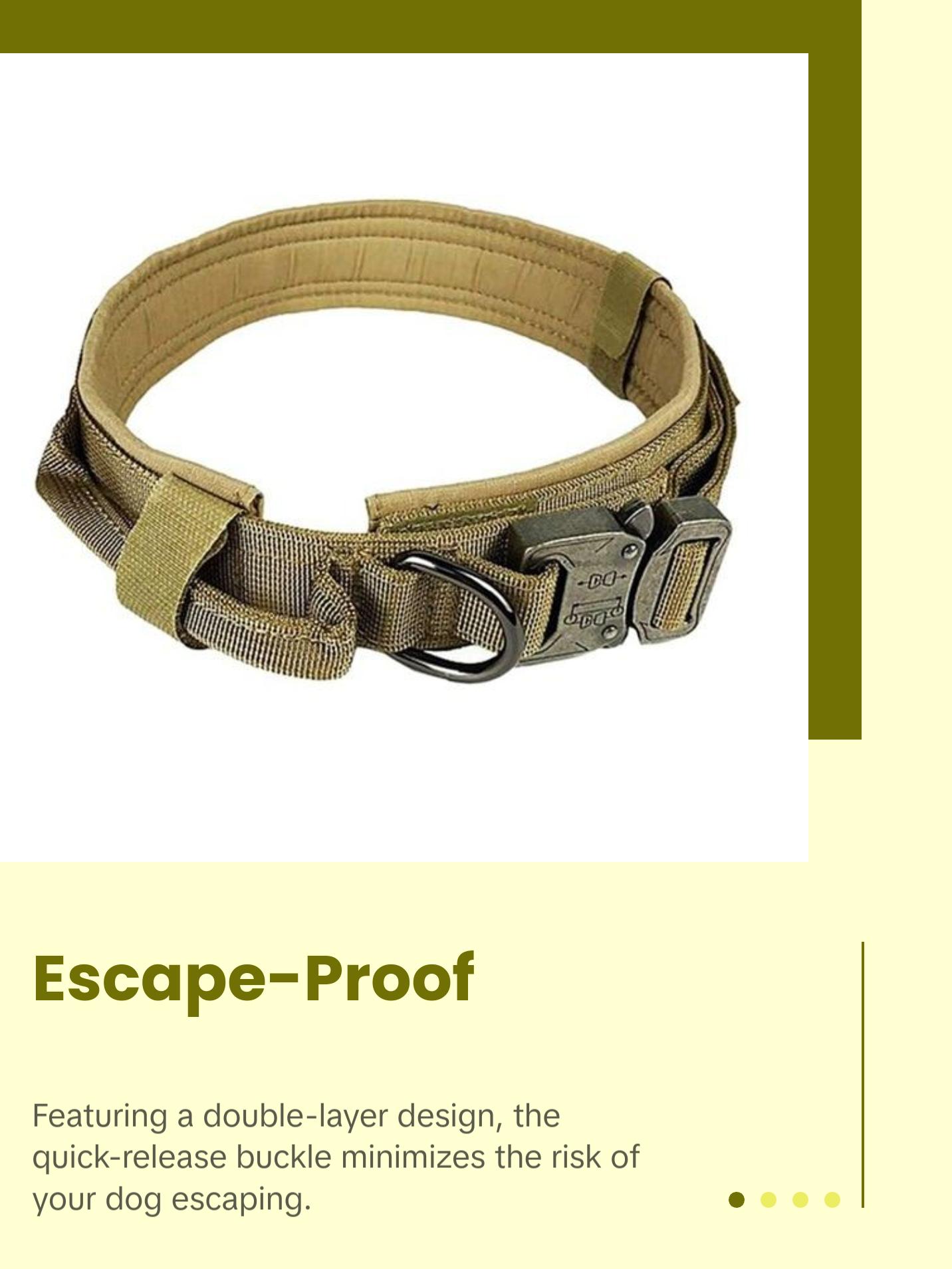 Heavy-Duty Dog Collar with Handle – Durable, Adjustable, Escape-Proof