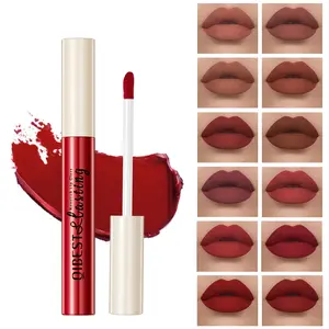 Matte Waterproof Lip Gloss Intensely Pigmented Non Sticky Long Wear Color Lock Perfect Lip Makeup Lip Lacquer
