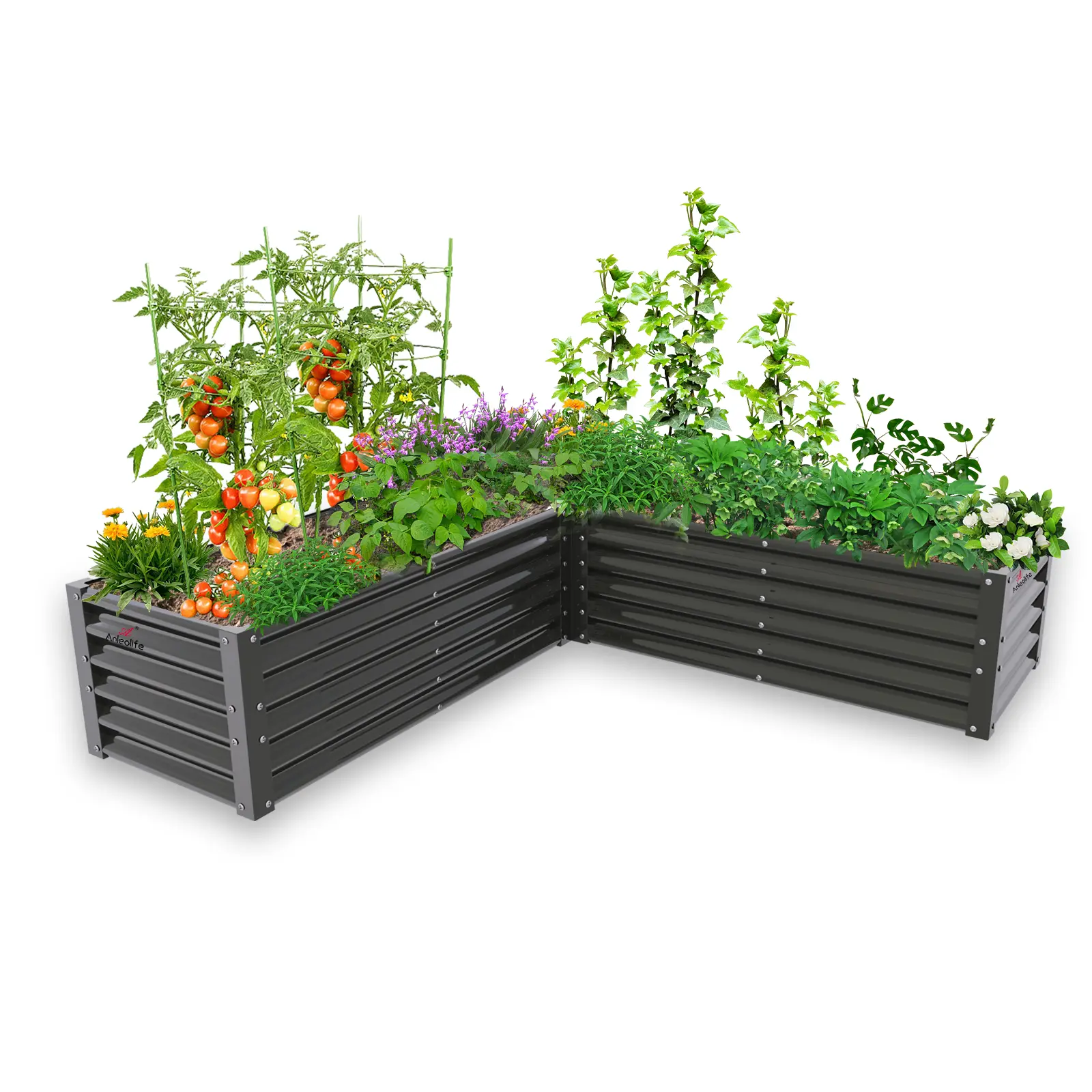 ANLEOLIFE L-Shaped Galvanized Raised Garden Bed - 74x74x18in (1.5ft), Anti-Rust, Easy-Setup Elevated Planter for Flowers & Plant Care, Raised Bed Planters