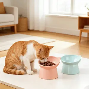 Slanted Neck Protection Pet Feeding Bowl, Large Diameter Dog & Cat Bowl, Anti-Tip Design, Customized Elevated Plastic Bowl