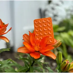 Orange Sticky Grip