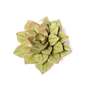 Green  Succulent Ceramic Flower Wall Decor - Medium 4.7” Unique Home Accent - Perfect Stocking Stuffer Christmas Gift for Mom