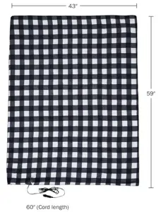 Heated Blanket - 12-Volt Electric Blanket for Car, Truck, SUV, or RV - Portable Winter Car Accessories for Camping