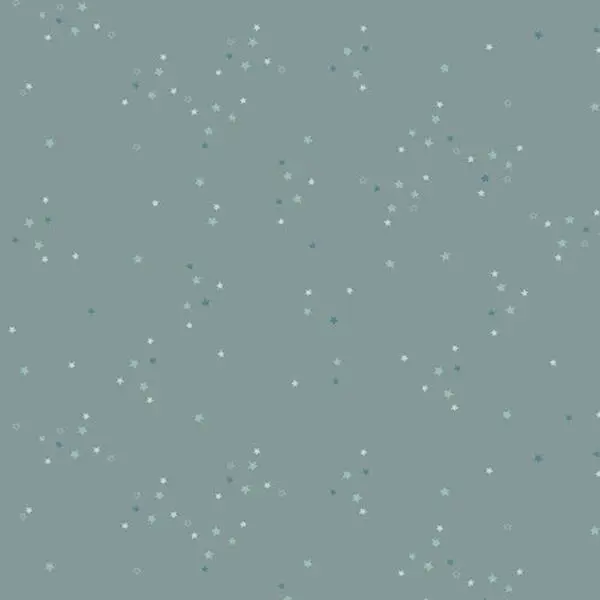 Fabric Art Gallery Sky Twinkle Little Stars Adventale by the Quarter Yard ADV25907