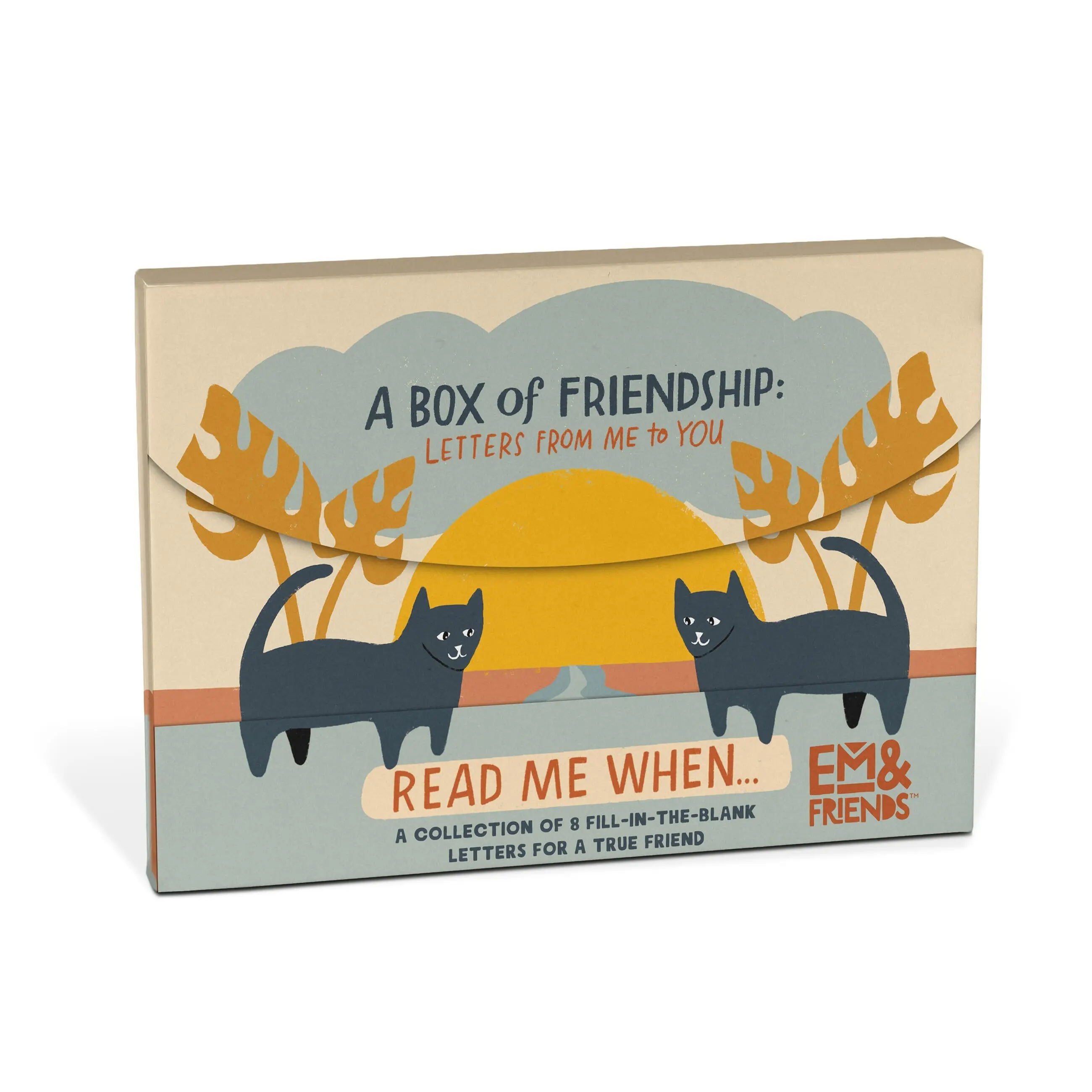A Box of Friendship Fill in the Love Read Me When Box of Letters to Friend