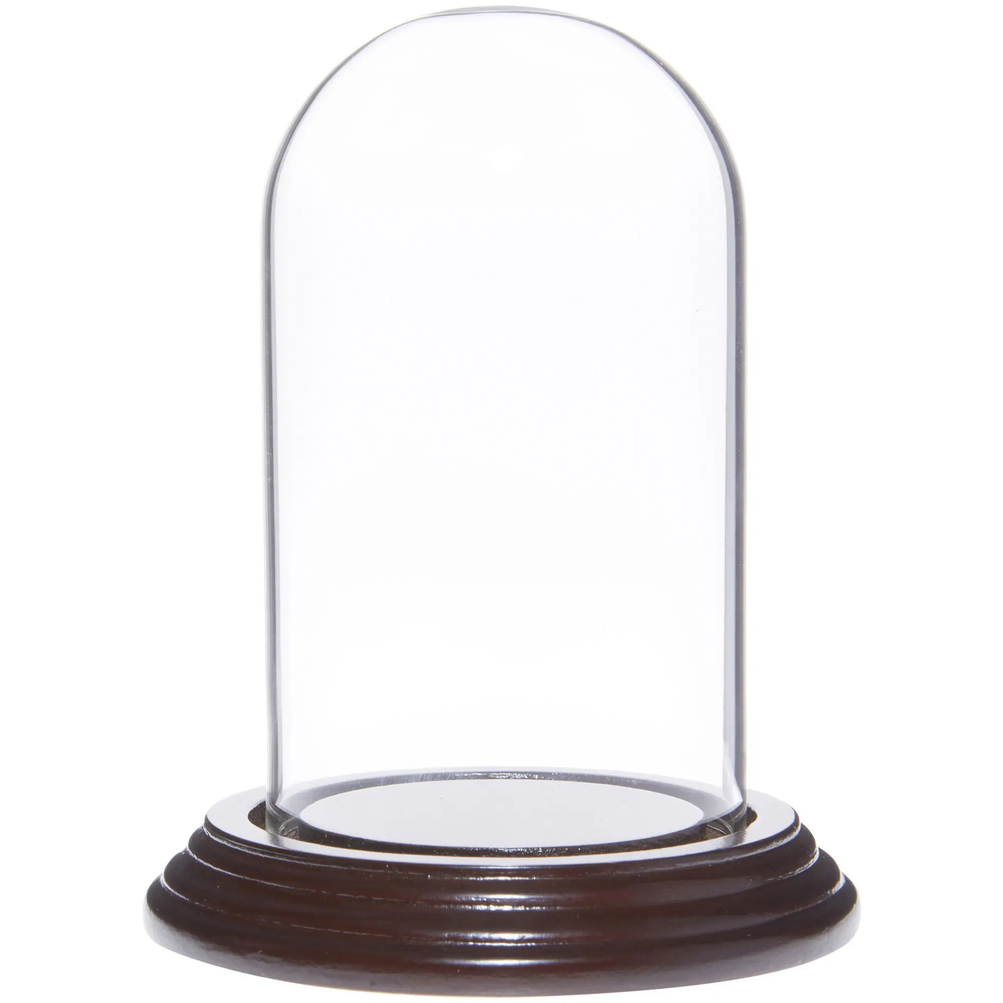 Plymor 2.5" x 4.5" Small Glass Display Dome Cloche
