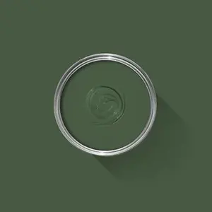 Farrow & Ball Archived Duck Green NO.W55 🚚 Free Shipping!