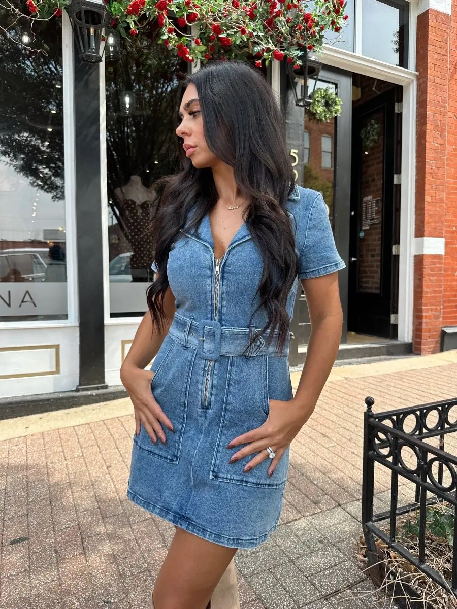 floral embroidery casual mini dress Parlor Floral Embroidered Mini Dress
