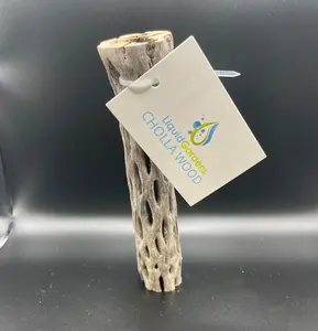 Liquid Gardens Organic 6" Chollo wood