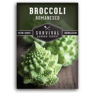 Romanesco Broccoli Seeds - Versatile Vegetable Seeds for Growing Broccoli