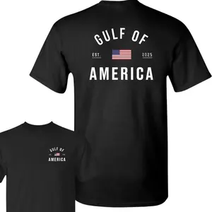 Gulf of America T-Shirt, Patriotic Minimalist Graphic Tee, Casual Streetwear for Men and Women, Trending Shirt