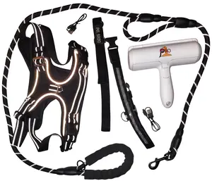 PetSafe 5-in-1 Dog Harness Combo Set - Light-Up Collar, Leash & Pet Hair Remover - Size XLarge - LED Waterproof & No-Tangle